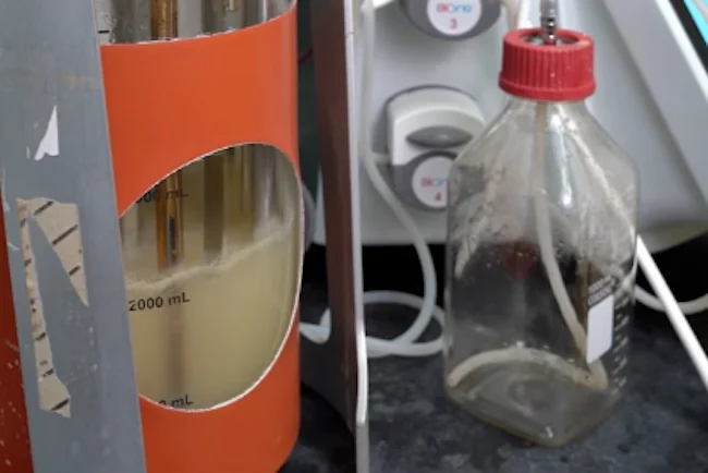 Geri dönüştürülmüş plastikten kurabiye: µBites laboratuvarda