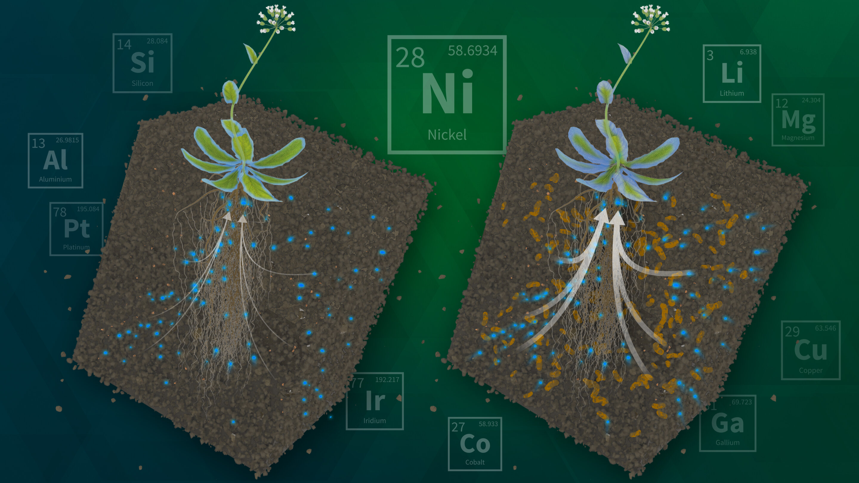 Agentik AI, Phytomining’de Analiz Süresini Dakikaya İndirdi