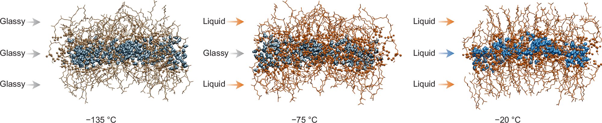 Suyun camsı geçiş sırrını nanometre ölçeğinde çözdüler