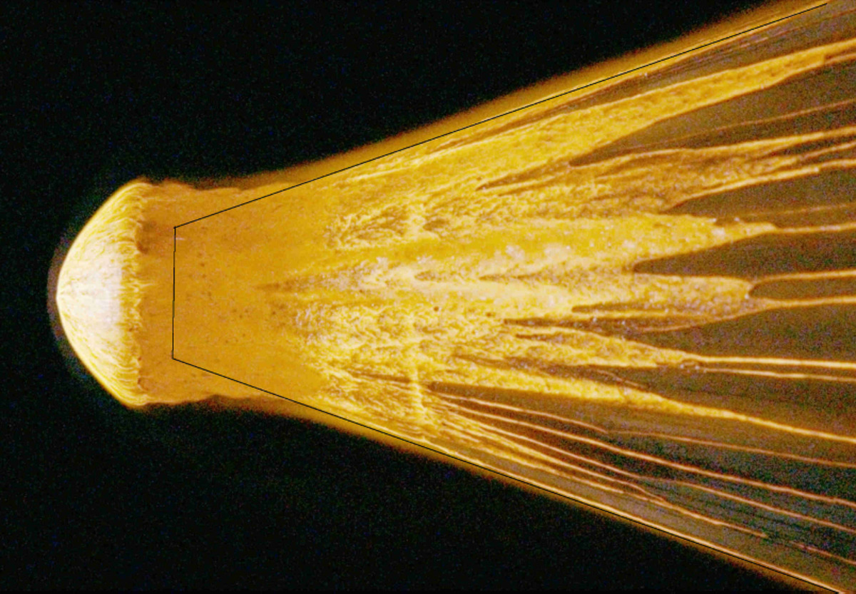A stony meteorite in NASA Ames Research Center