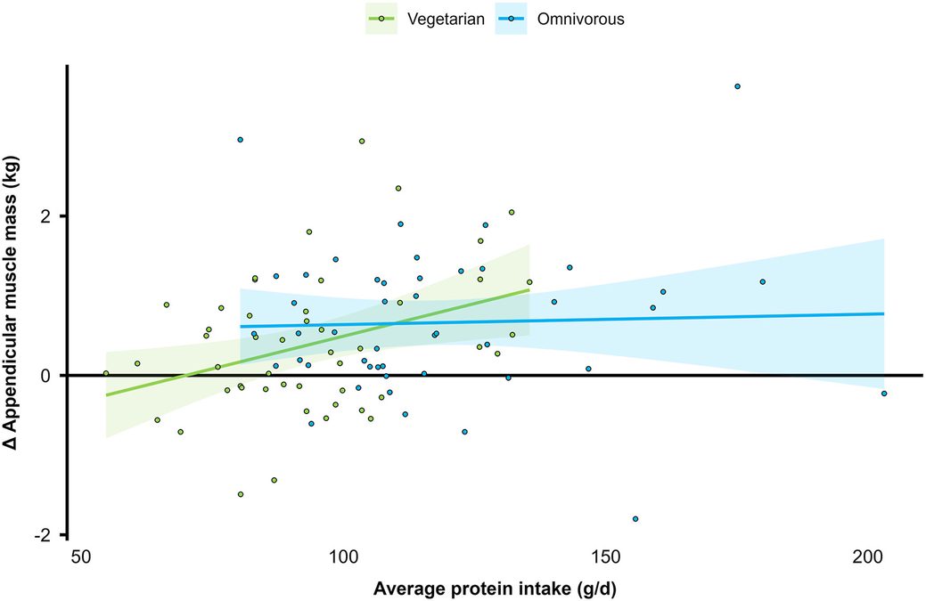 Protein yeterliyse vejetaryen beslenme kası koruyor; ama et yiyenler yüzde 70 daha fazla kas kazandı (4/4)