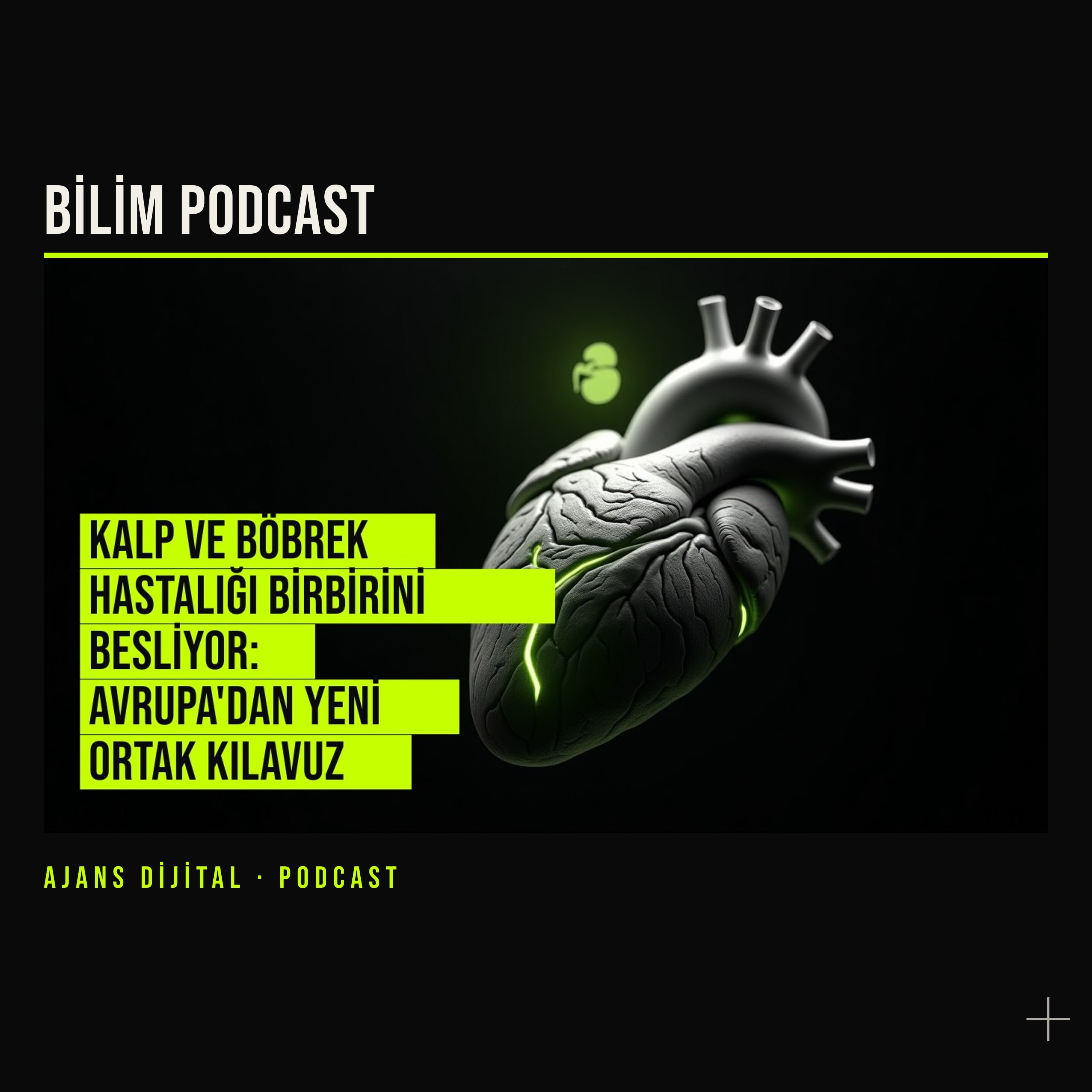 Kalp hastasıysan böbreğin de hikâyesi var podcast bölümü kapağı