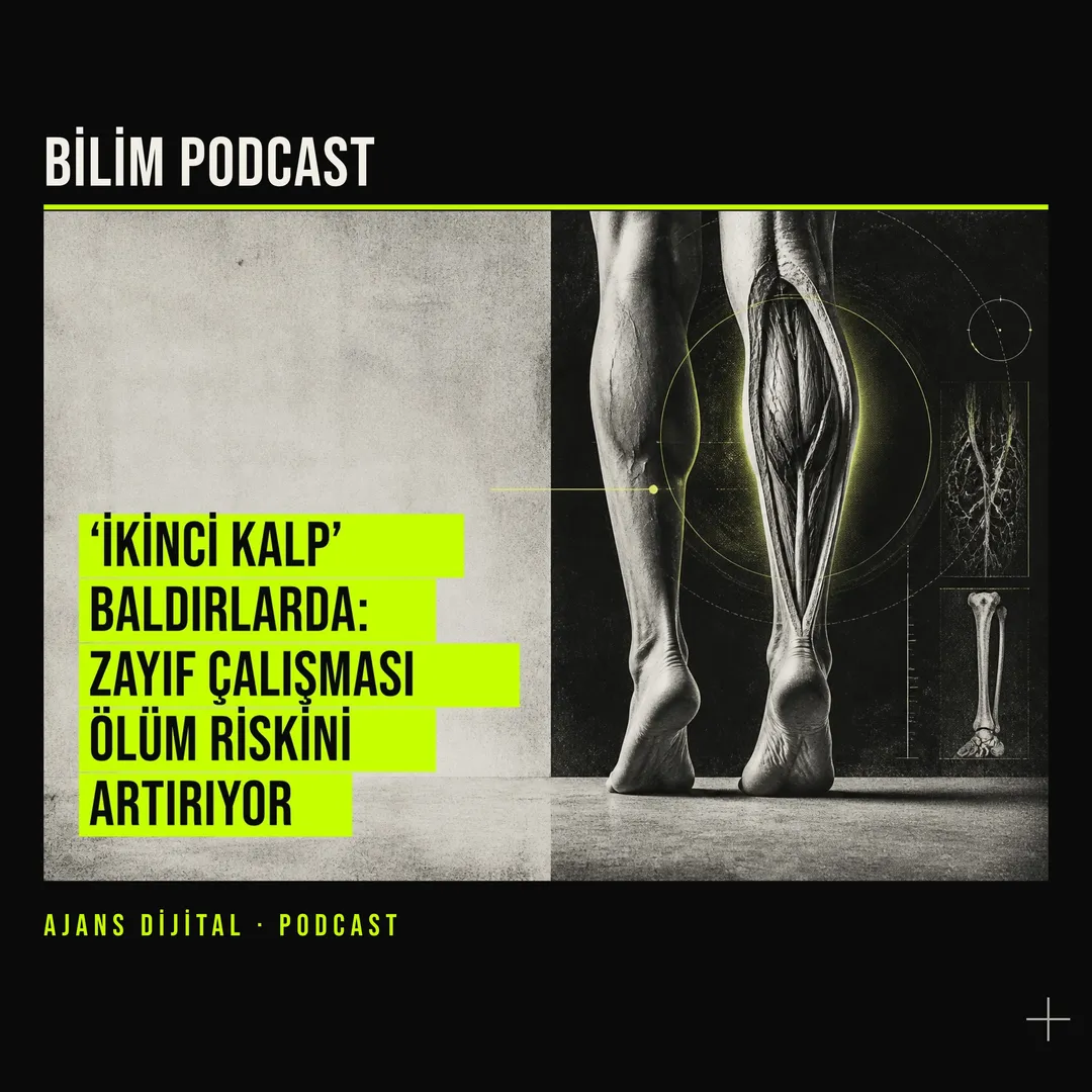 Baldırdaki Sessiz Pompa: Masa Başında Unuttuğumuz Dolaşım podcast bölümü kapağı