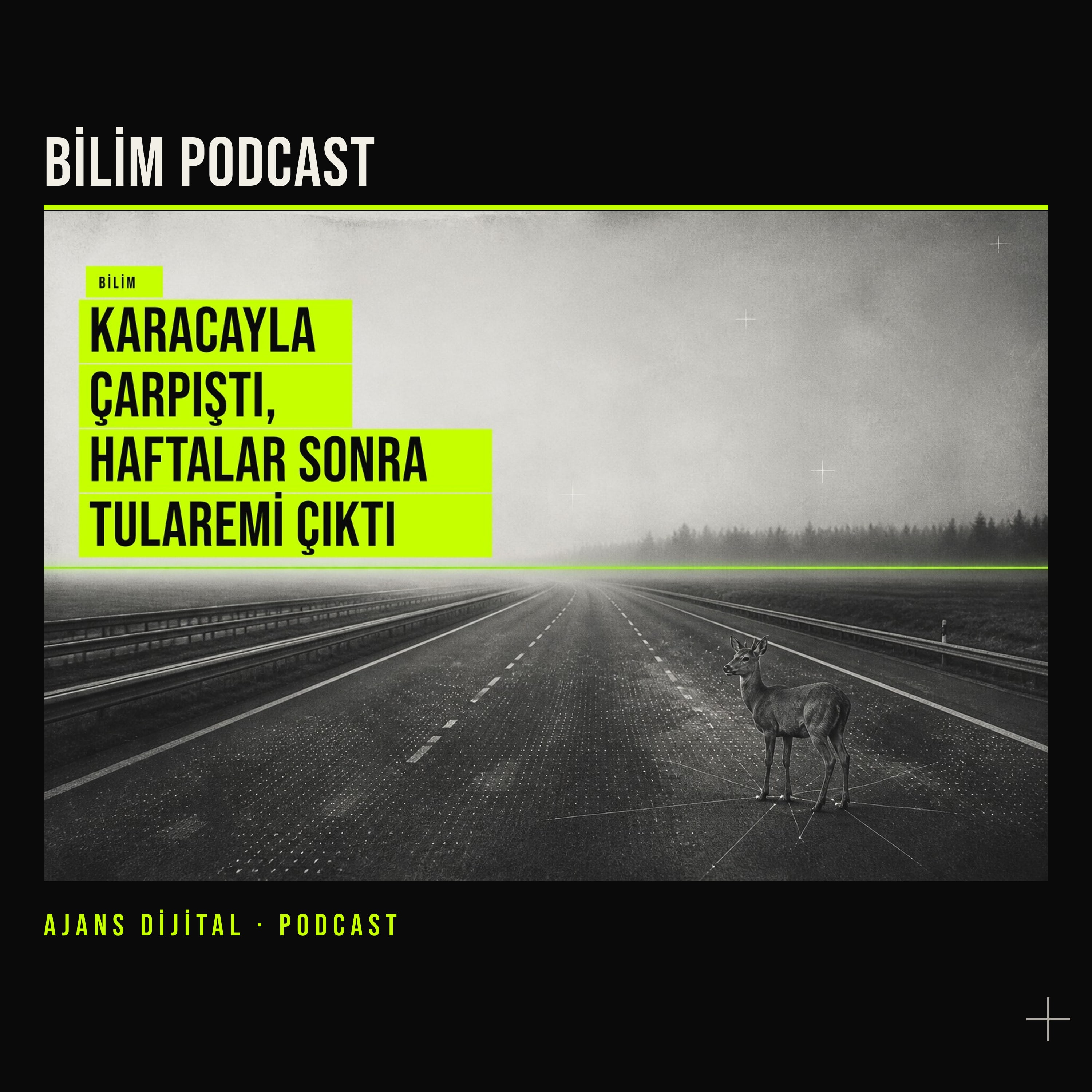 Geyik Kazasında Görünmeyen Risk: Yaradan Gelen Enfeksiyon podcast bölümü kapağı