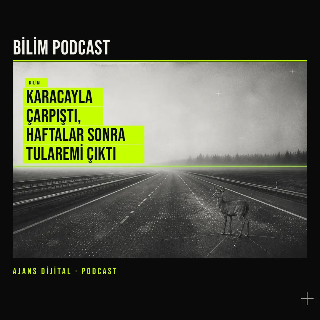 Geyik Kazasında Görünmeyen Risk: Yaradan Gelen Enfeksiyon podcast bölümü kapağı