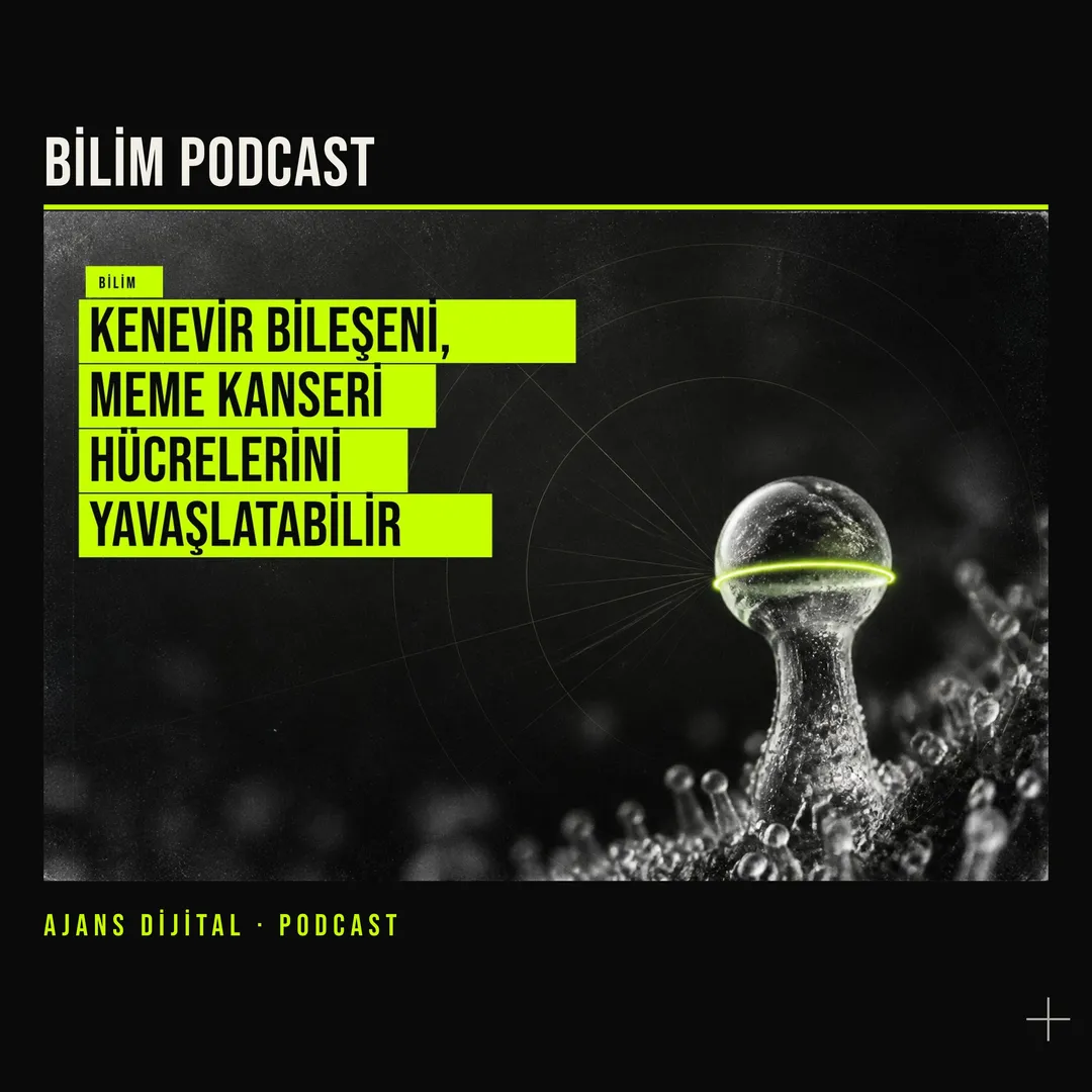 THC Bulgusu Meme Kanseri Araştırmalarında Neyi Gerçekten Değiştirir? podcast bölümü kapağı