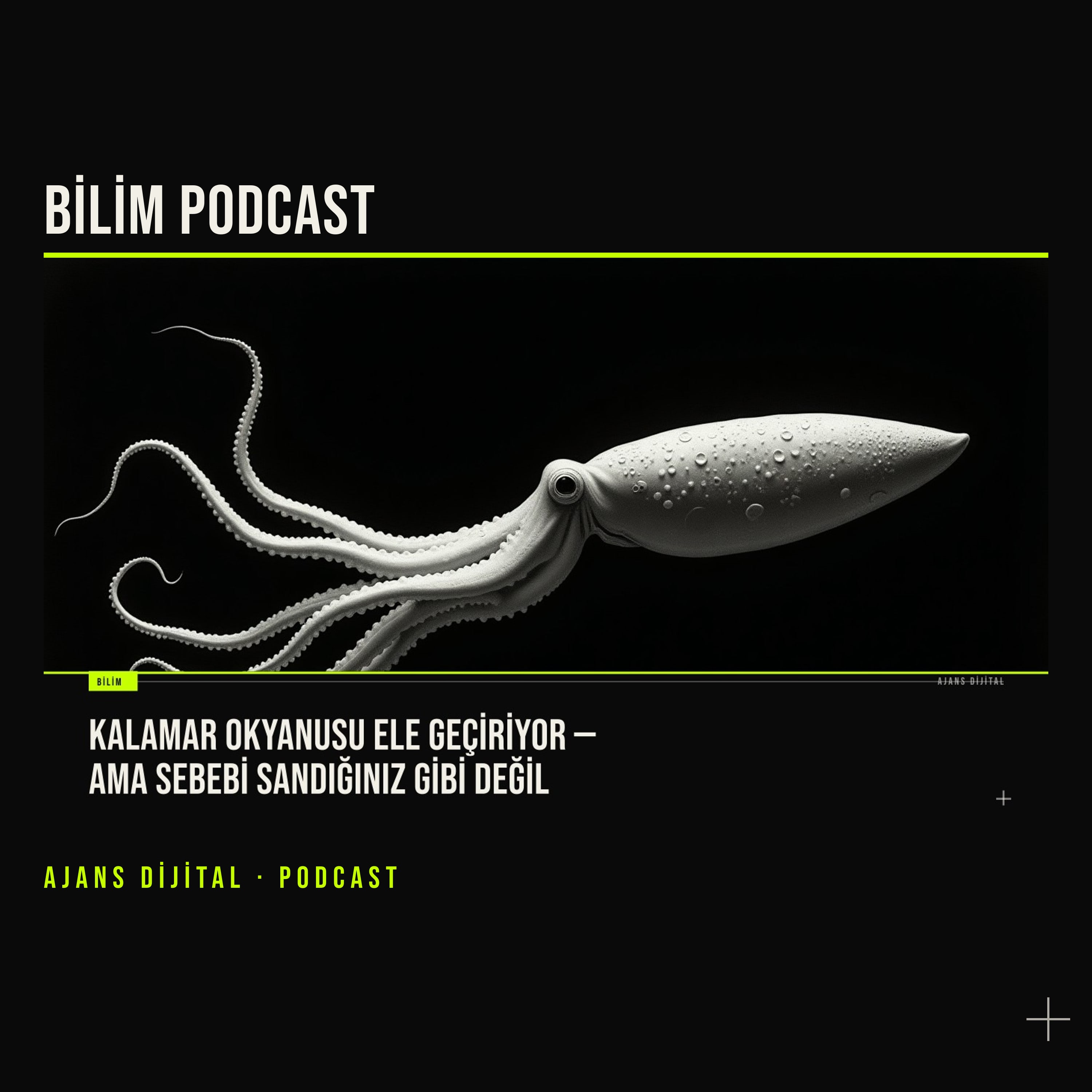 Kalamar okyanusu ele geçiriyor mu, yoksa sadece hızlı olan mı kazanıyor podcast bölümü kapağı