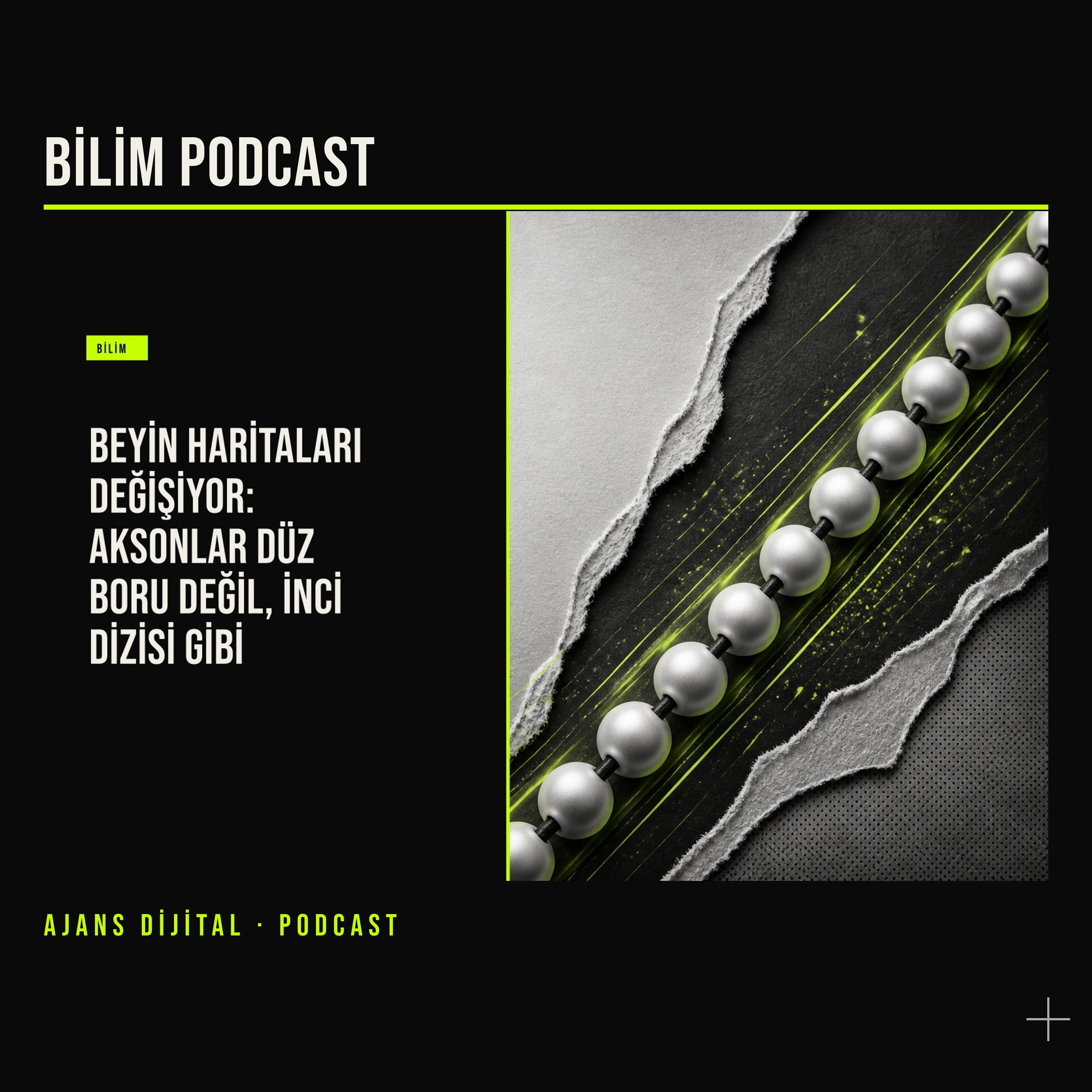 Beynin Kabloları Düz Değilse Hafızayı Nasıl Düşünmeliyiz? podcast bölümü kapağı