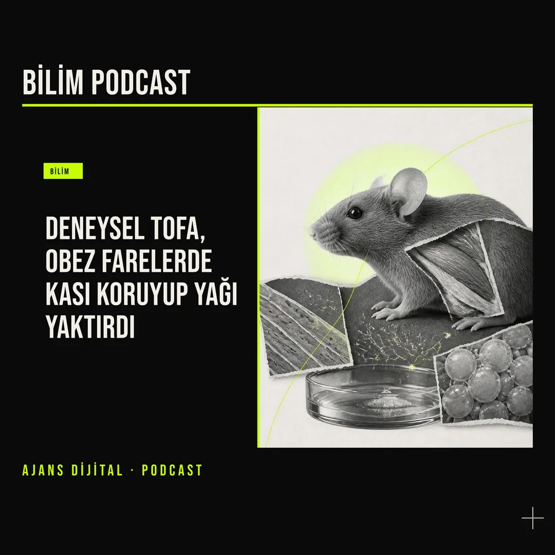 Kilo Tedavisinde Yeni Soru: Daha Az Yemeden Zayıflamak Mümkün mü? podcast bölümü kapağı