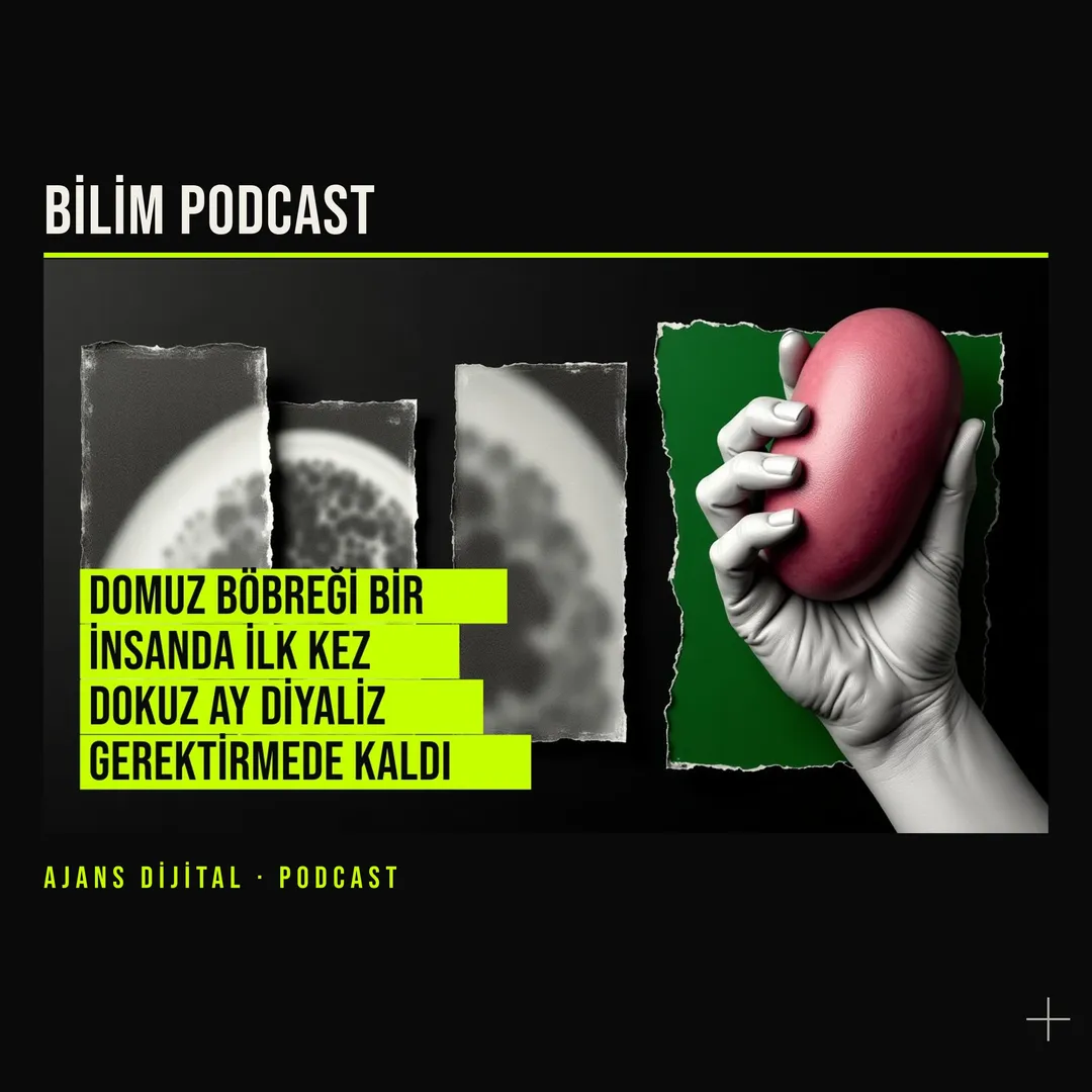 Bir domuz böbreği insanda dokuz ay dayandı, peki bu ne demek? podcast bölümü kapağı
