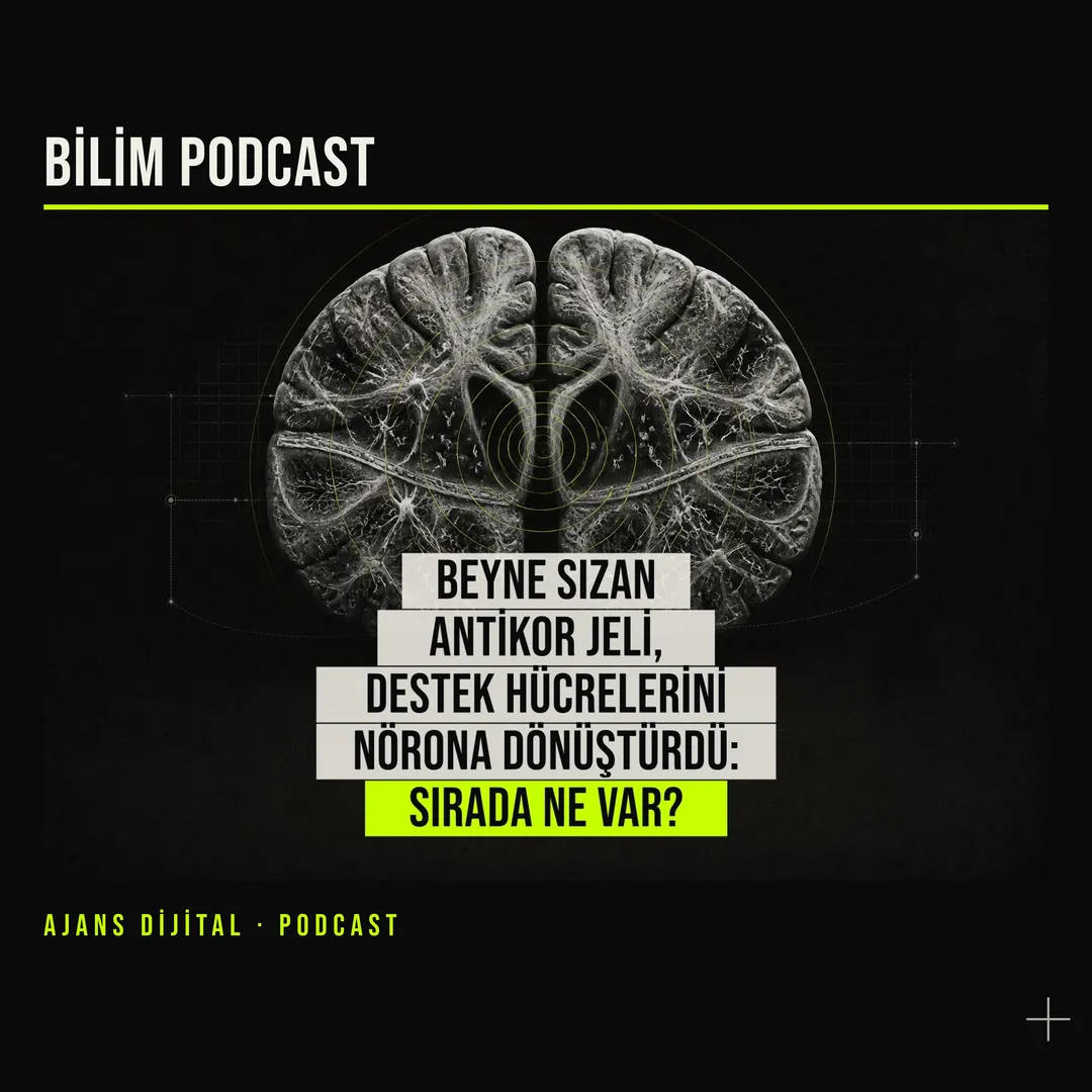 Alzheimer Farelerinde Umut Veren Jel: Beyinde Hücre Dönüşümü podcast bölümü kapağı