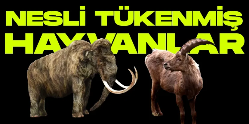 Bilim insanlari nesli tukenmis hayvanlari hayata dondurmeye calisiyor kapak