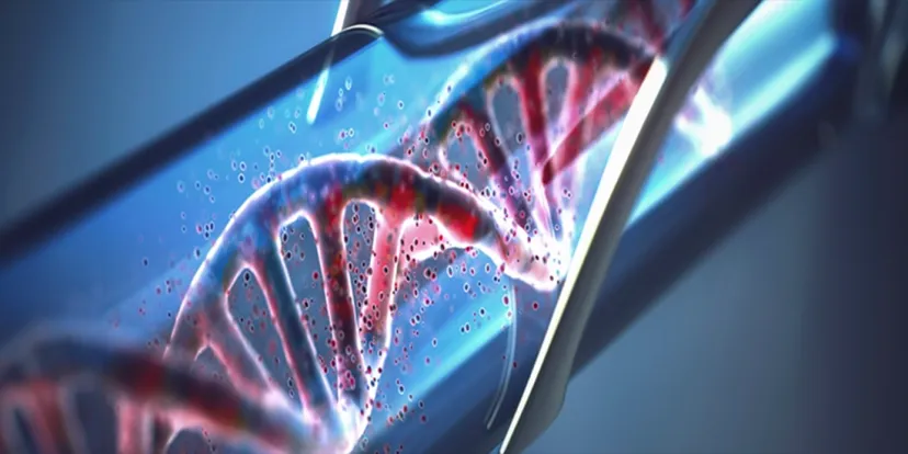 Çinli Araştırmacılar, DNA Moleküllerinden Bilgisayar Oluşturmanın Yeni Yolunu Keşfetti