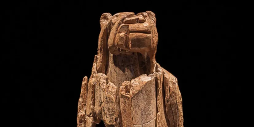 Aslan adam