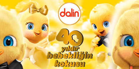 Dalin festival kapak