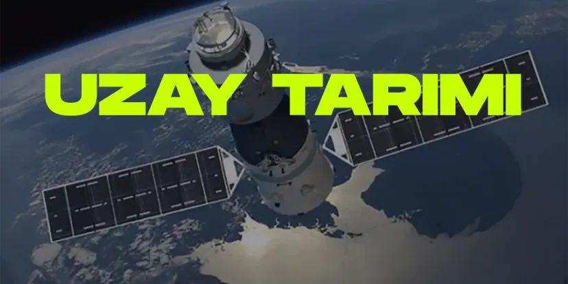 Cinli astronotlar uzay istasyonunda sebze yetistiriyor