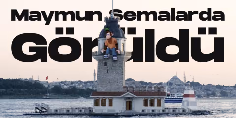 Lc waikikinin ikonik maymunu kiz kulesine tirmandi