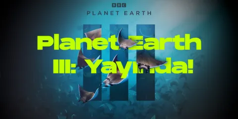 Planet earth iii yayinda