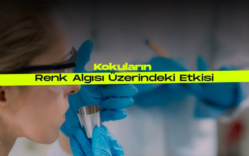 Renk algimizi sekillendiren kokular