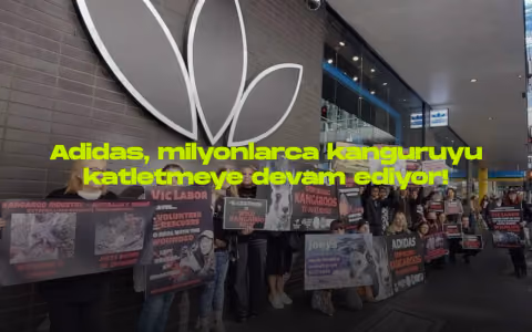 Adidas kanguru derisi kullanimina tepkilerle karsi karsiya
