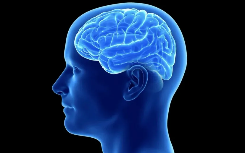 Zihni sasirtmak cok kolay psikik incelemeler ve pineal korteks kapak