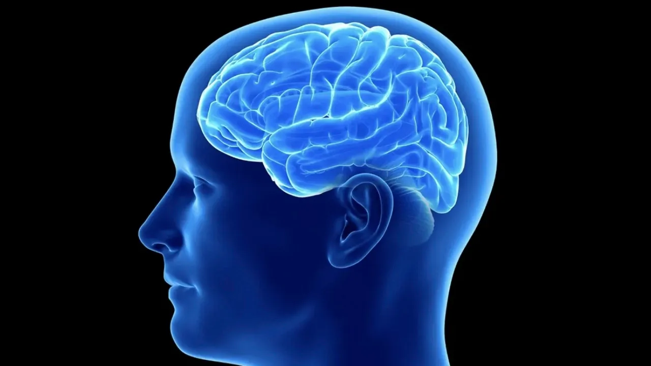 Zihni sasirtmak cok kolay psikik incelemeler ve pineal korteks kapak