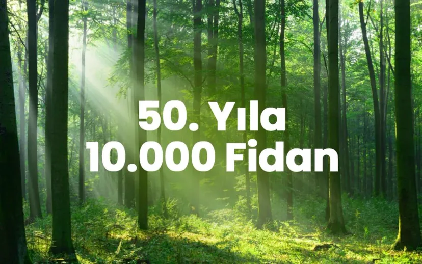 Pakmaya 50 yil anisina 10 bin fidan bagisladi
