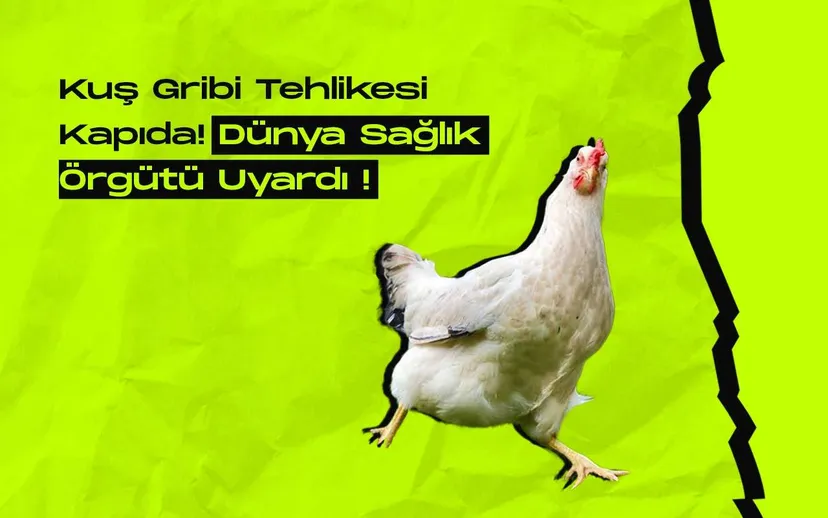 Kus gribi korkutuyor dunya saglik orgutu alarm verdi