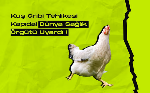 Kus gribi korkutuyor dunya saglik orgutu alarm verdi