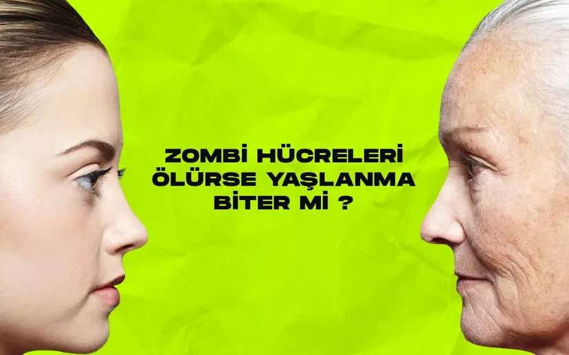 Zombi hucreleri olurse yaslanma biter mi