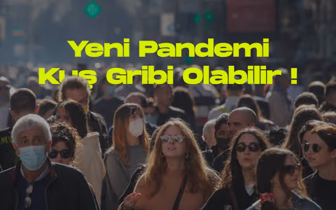 Bir sonraki pandemi kus gribi olabilir