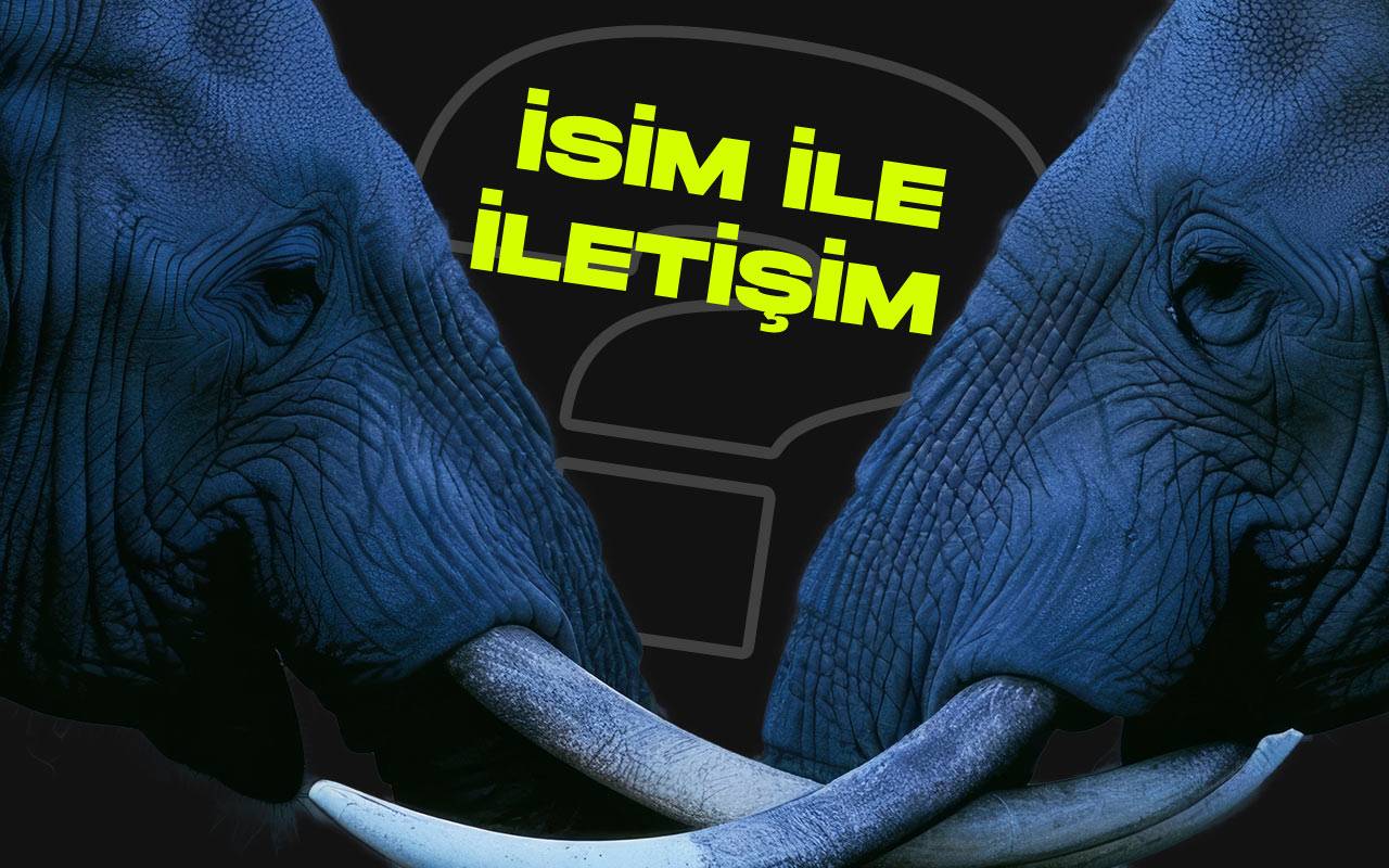 İlginc arastirma filler insanlar gibi isimlerle iletisim kuruyor
