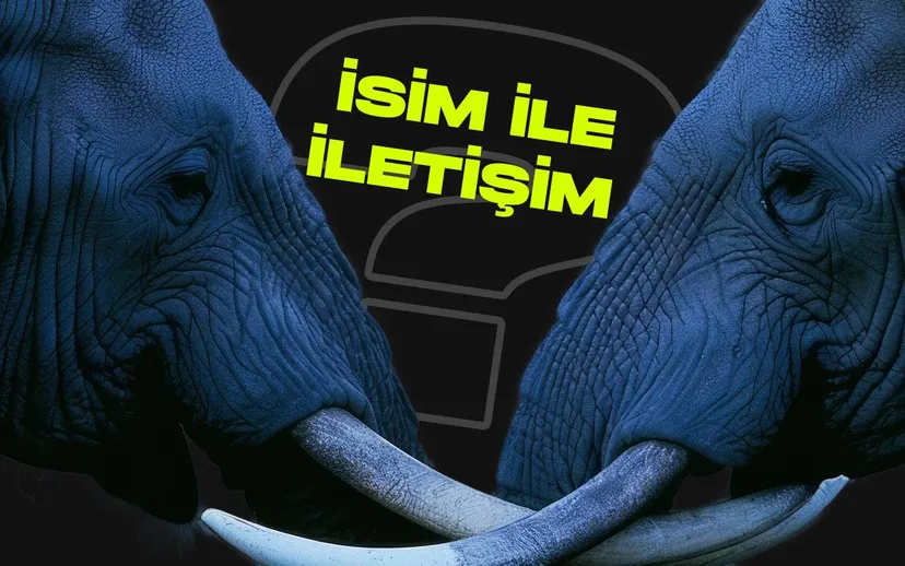 İlginc arastirma filler insanlar gibi isimlerle iletisim kuruyor