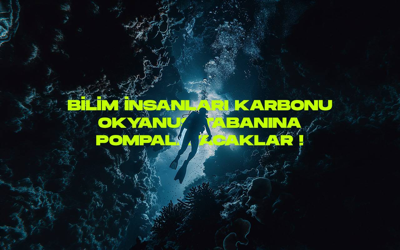 Okyanus