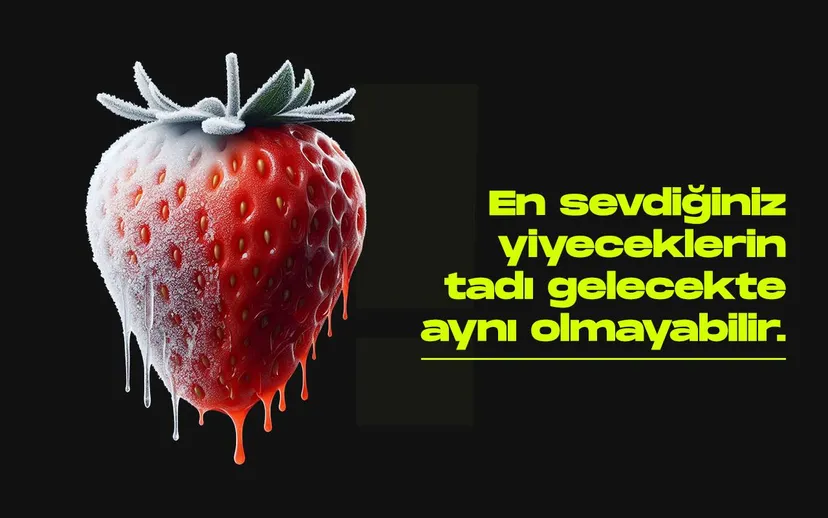 Yiyecek
