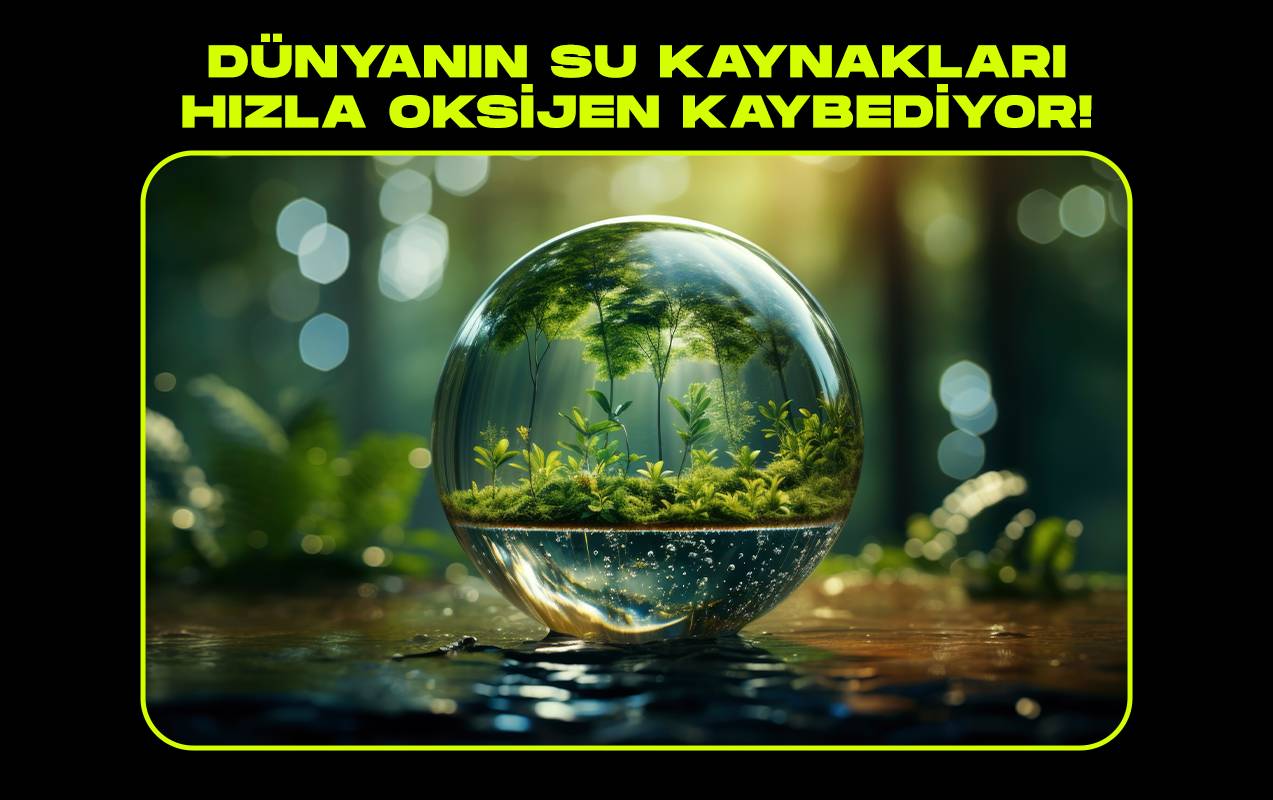 Dünyanın Su Kaynakları Hızla Oksijen Kaybediyor ve Tehlike Hızla Büyüyor
