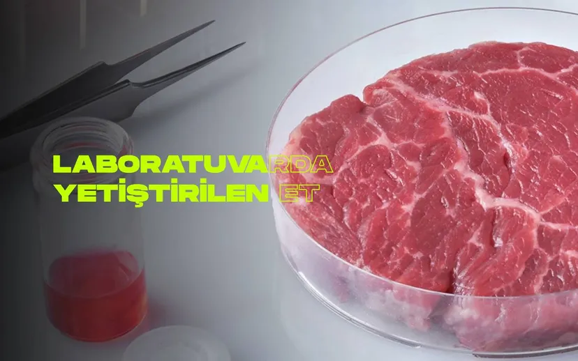Yapay Aromalar, Laboratuvarda Yetiştirilen Etin Tadını Geliştirmeyi Hedefliyor!