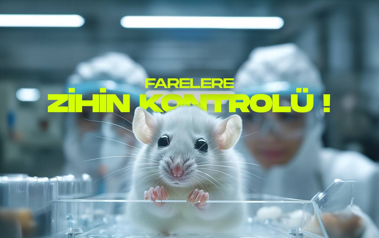 Fare zıhın