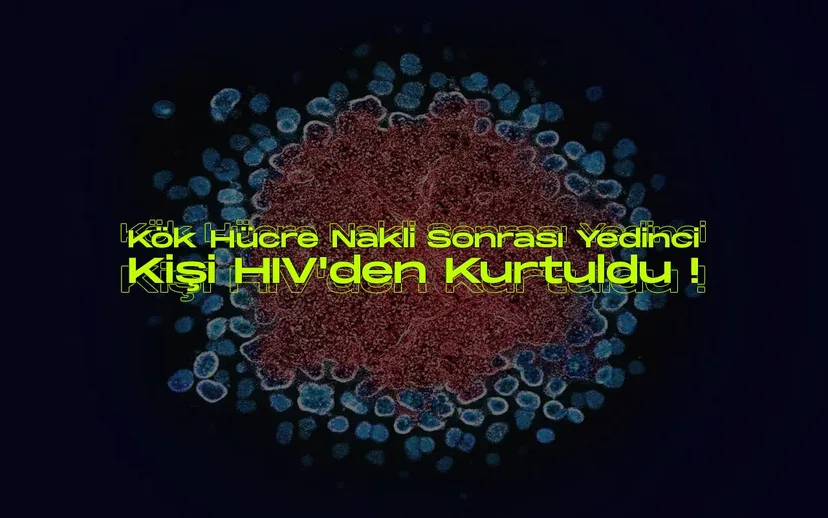 Kok hucre