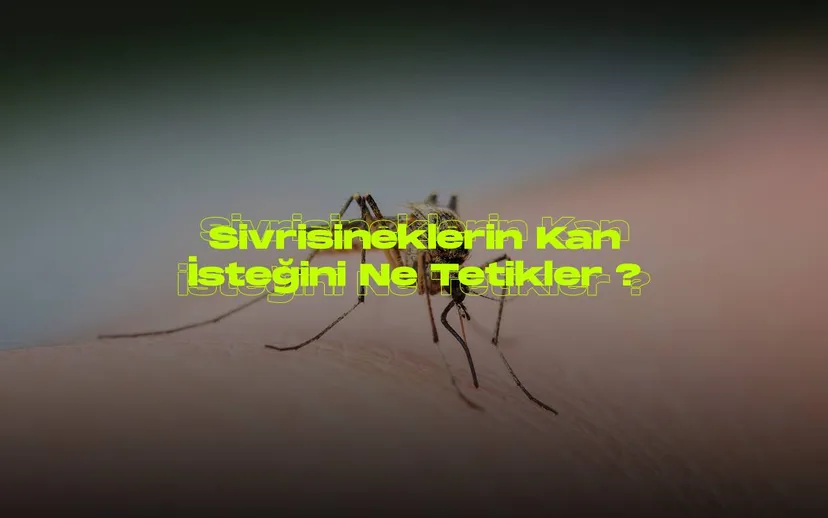 Sivrisinek