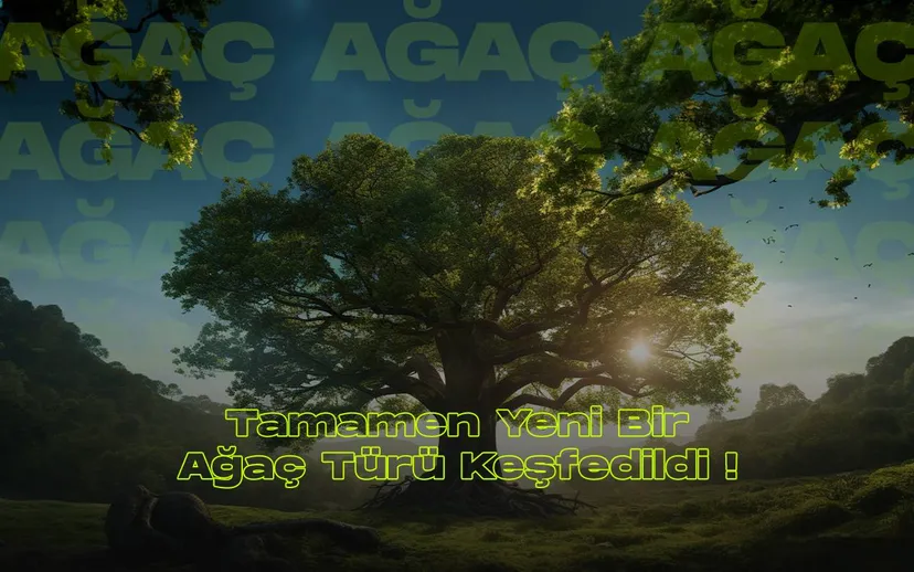 Agac