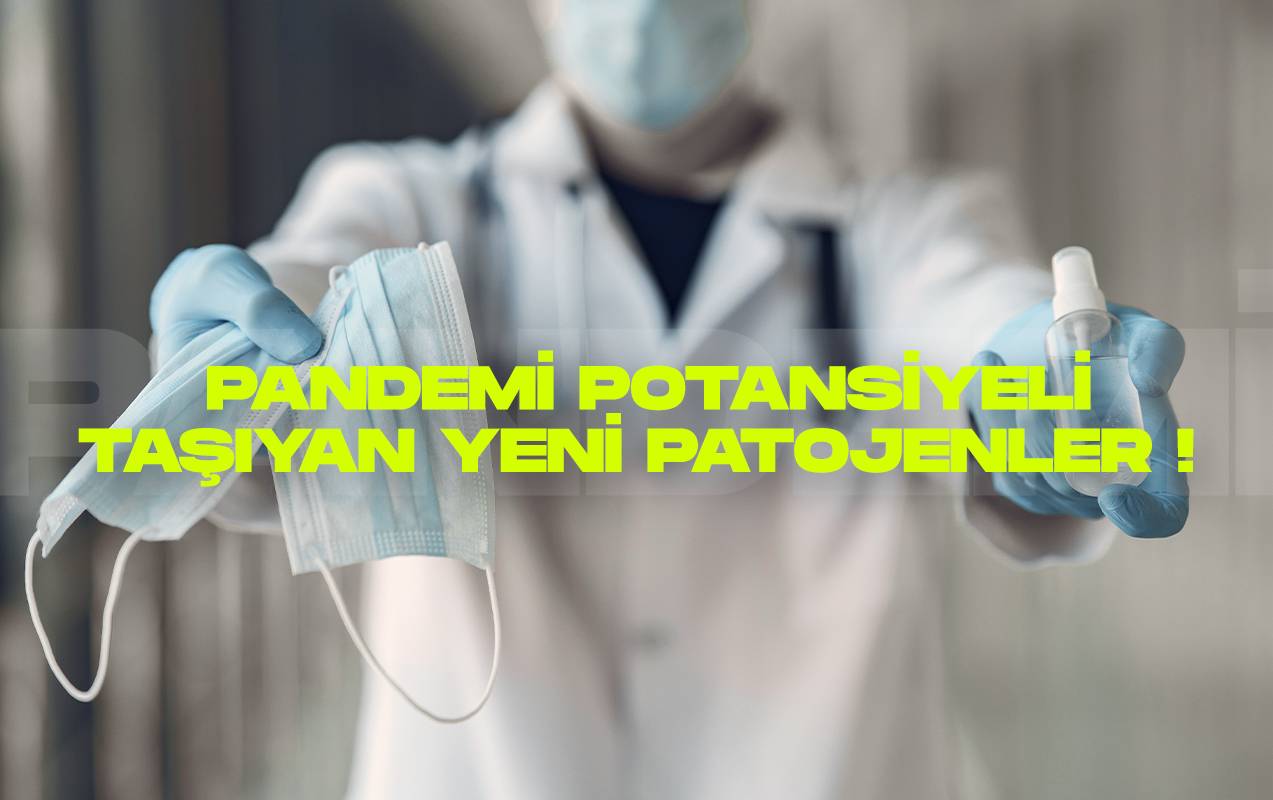 Pandemi