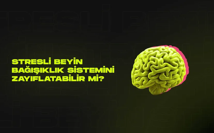 Stresli beyin bagisiklik sistemini zayiflatabilir mi