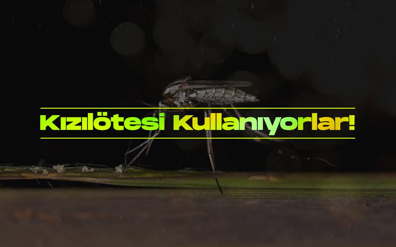 Bilim insanlari sivrisineklerin insanlari kizilotesi ile izledigini kesfetti