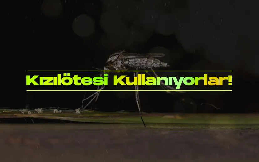 Bilim insanlari sivrisineklerin insanlari kizilotesi ile izledigini kesfetti