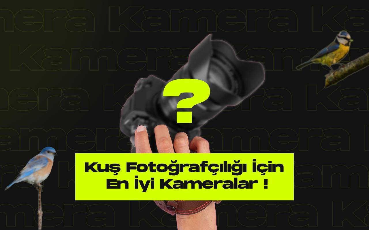 Kus fotografciligi icin en iyi kameralar inceleme