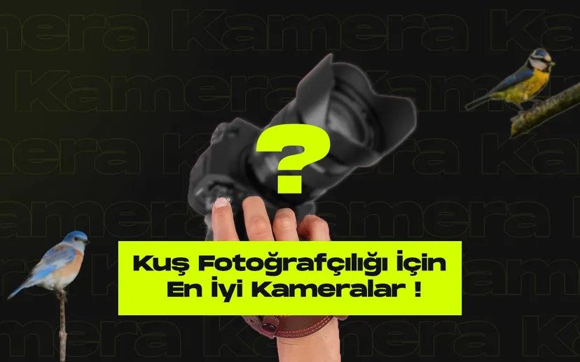 Kus fotografciligi icin en iyi kameralar inceleme