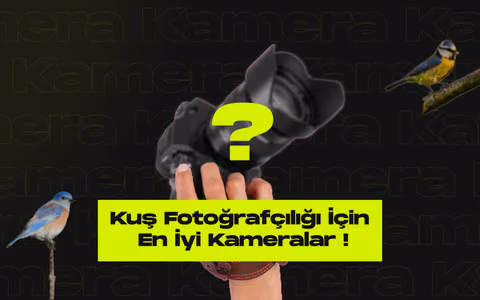 Kus fotografciligi icin en iyi kameralar inceleme