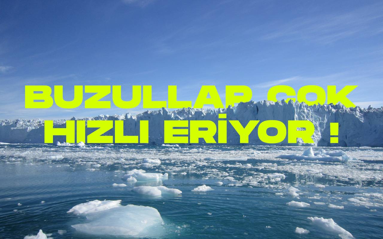 Buzul