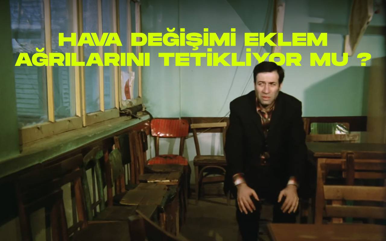 Eklem agrilari